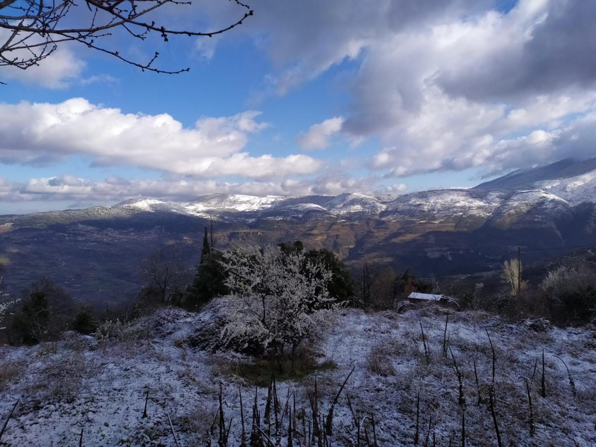 Μικρή Ζήρεια Ενοικιαζόμενη Κατοικία Synikia Mesi Trikalon Zewnętrze zdjęcie