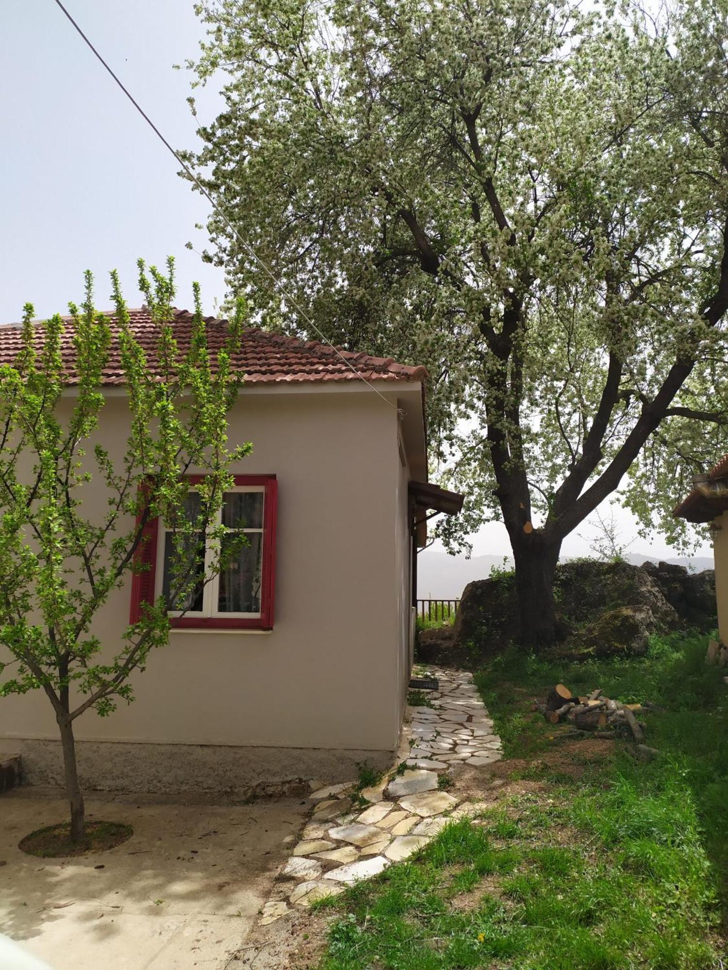 Μικρή Ζήρεια Ενοικιαζόμενη Κατοικία Synikia Mesi Trikalon Zewnętrze zdjęcie